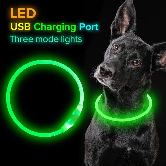 Pet Flashing Collar USB Rechargeable Glowing Necklace Safety Collar Light up Collars for Night Walking Electric Dog Collar Neon